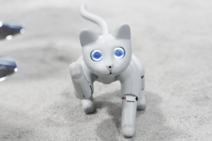 Robot Cat